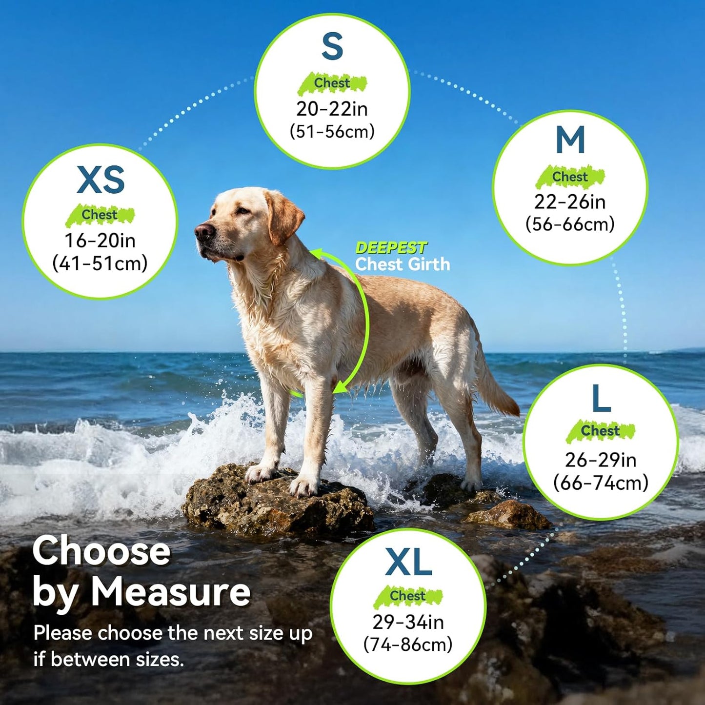 Neoprene Dog Life Vest, Dog Life Jacket for Swimming & Boating, Lightweight & Buoyancy for Puppy Doggy, Swimming Vest with Handle, S, Red